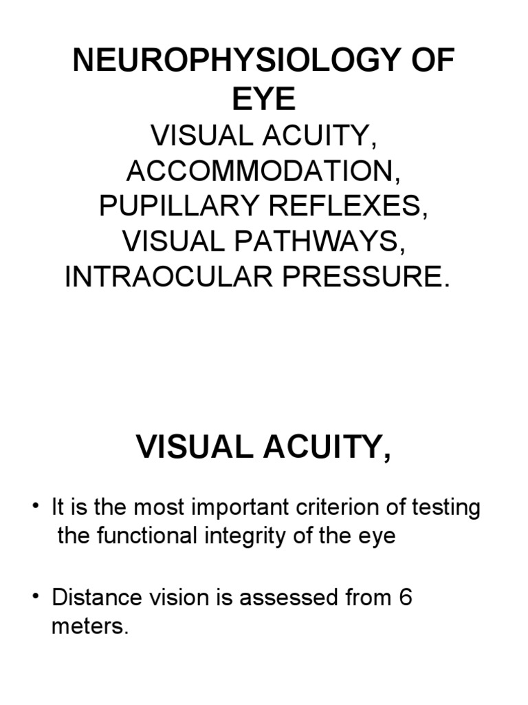 Eye Neurophysiology and Reflexes | PDF | Visual Acuity | Face