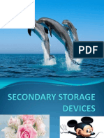 Secondary Storage Devices