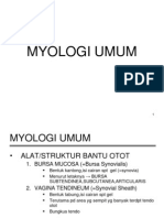 Myologi