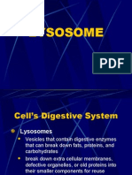 Download Ppt Lisosom o5 by cHuAz TeeKaa SN19837453 doc pdf