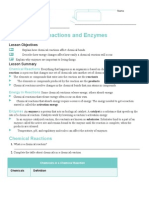 Chemical Reactions and Enzymes Lesson Summary