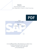 Basic Biz Information System - SAP