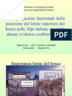 Discussione Tesi "Una spiegazione funzionale della posizione del limite superiore del bosco nelle Alpi italiane orientali