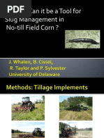 Tillage and Slug Management in No Till Corn Whalen