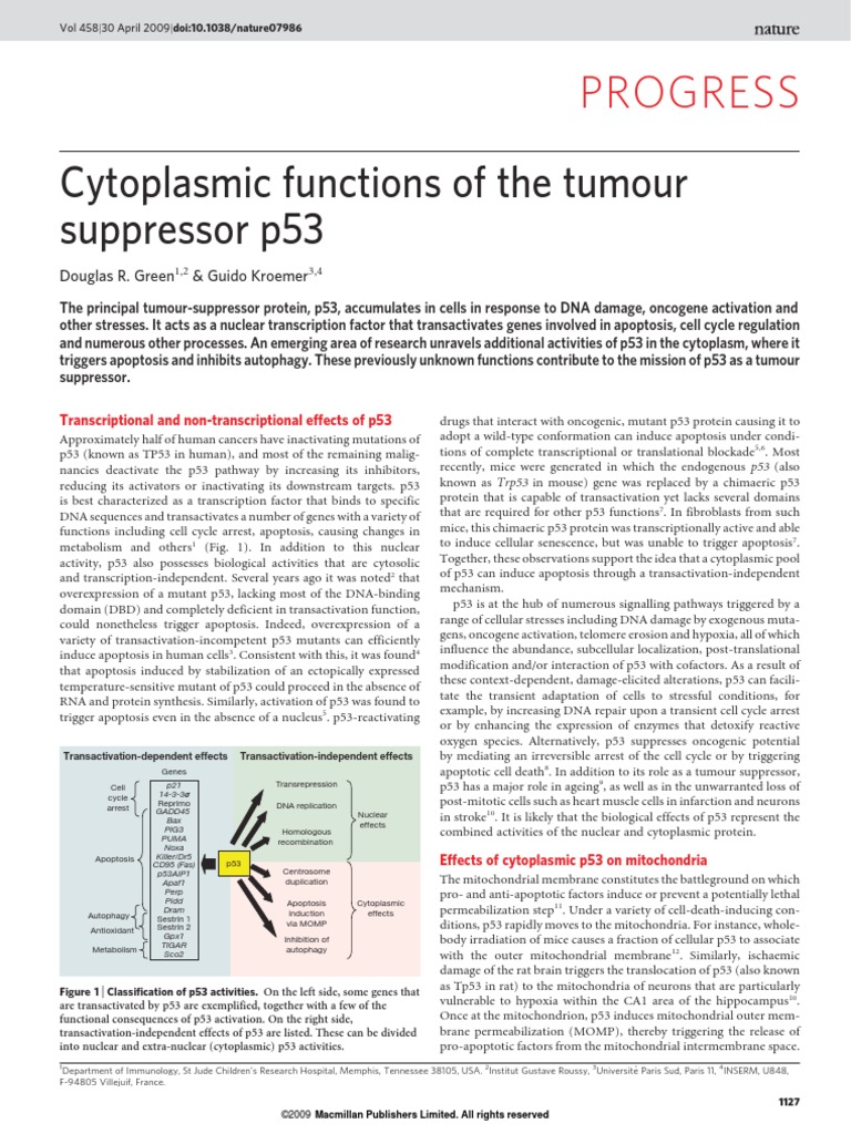 Cytoplasmic Functions of The Tumour Suprresor Gen P 53-Green DR and ...