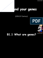b1 You and Your Genes