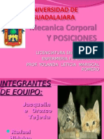 Mecanica Corporal y Posiciones