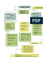 Sinoptico de Examen Clinico