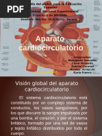 APARATO CARDIOCIRCULATORIO.pptx
