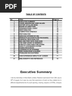 Final Report allied bank