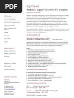 Technical Support Executive CV Template