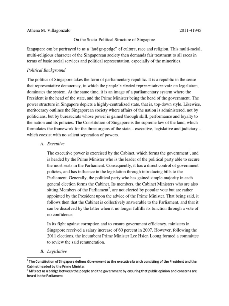 Politics essay writing picture