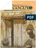 Cocuyo 24