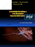 Embriologia Laringe