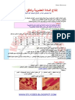 إنتاج المادة العضوية وتدفق الطاقة