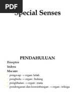 Download HISTOLOGI INDERA LENGKAP by cHuAz TeeKaa SN19874639 doc pdf