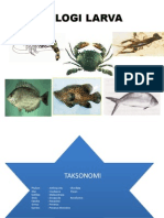 Download Biologi Larva by Herdian Wicaksono SN198767752 doc pdf