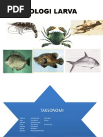Download Biologi Larva by Herdian Wicaksono SN198767752 doc pdf