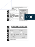 2 Amminoacidi PDF