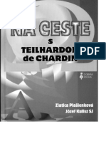 Na Ceste S Teilhardom de Chardin