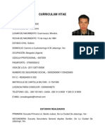 Curriculum Vitae 3