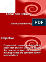 Labor and Delivery: (Insert Presenter Info)
