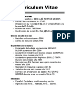 Curriculum Vitae Basico