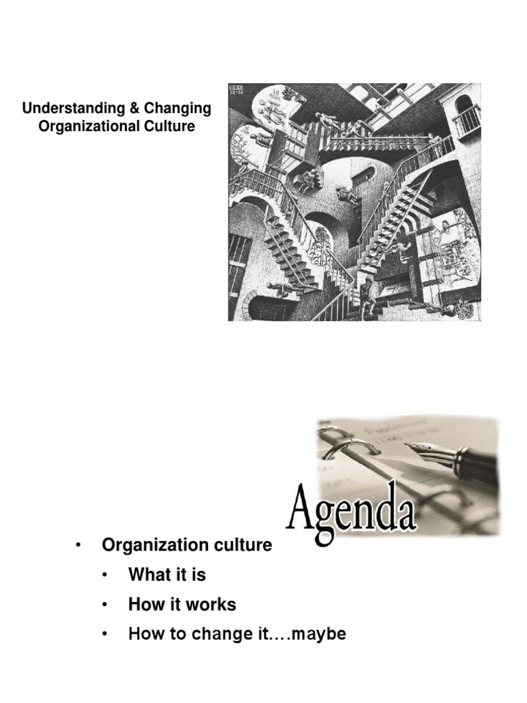 Understanding & Changing Organizational Culture | PDF
