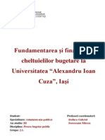 Fundamentarea Şi Finanţarea Cheltuielilor Bugetare La Universitatea "Alexandru Ioan Cuza", Iaşi