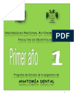 Anatoma Dental 2013