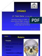 Anatomia Do Cranio