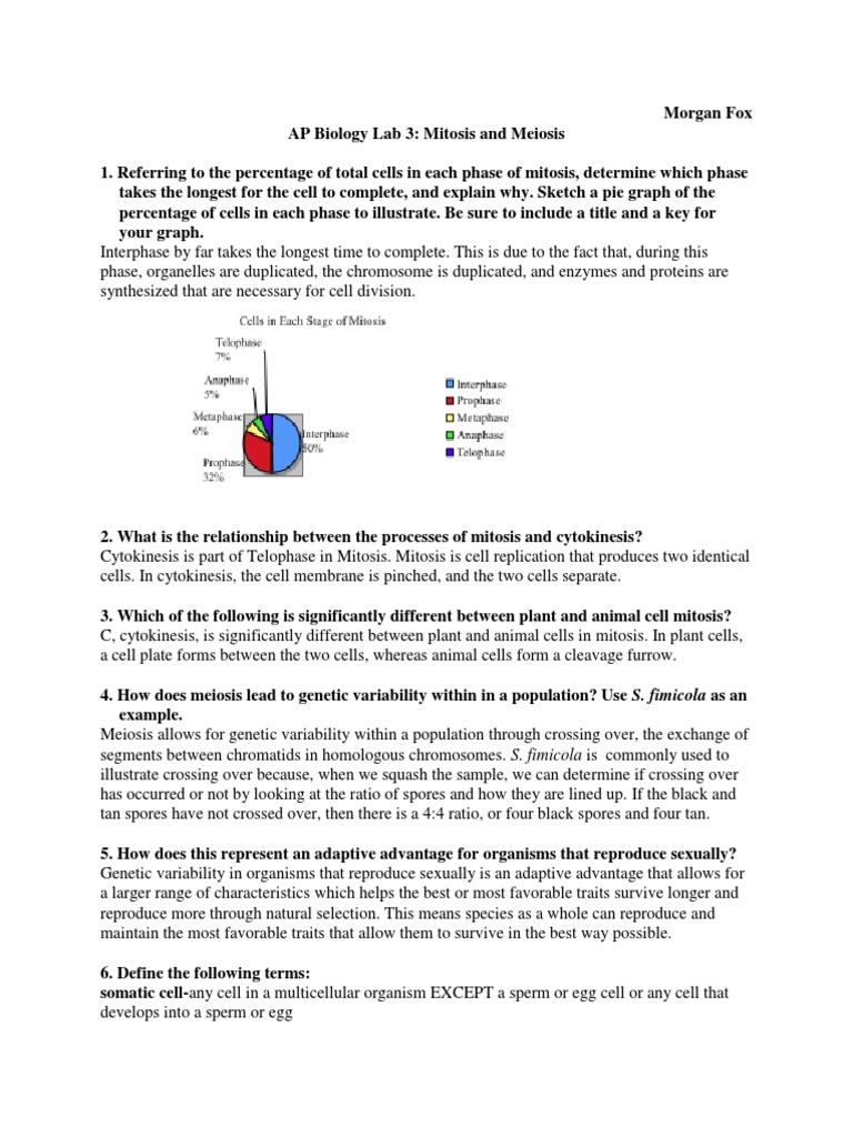 Ap biology mitosis lab answers picture
