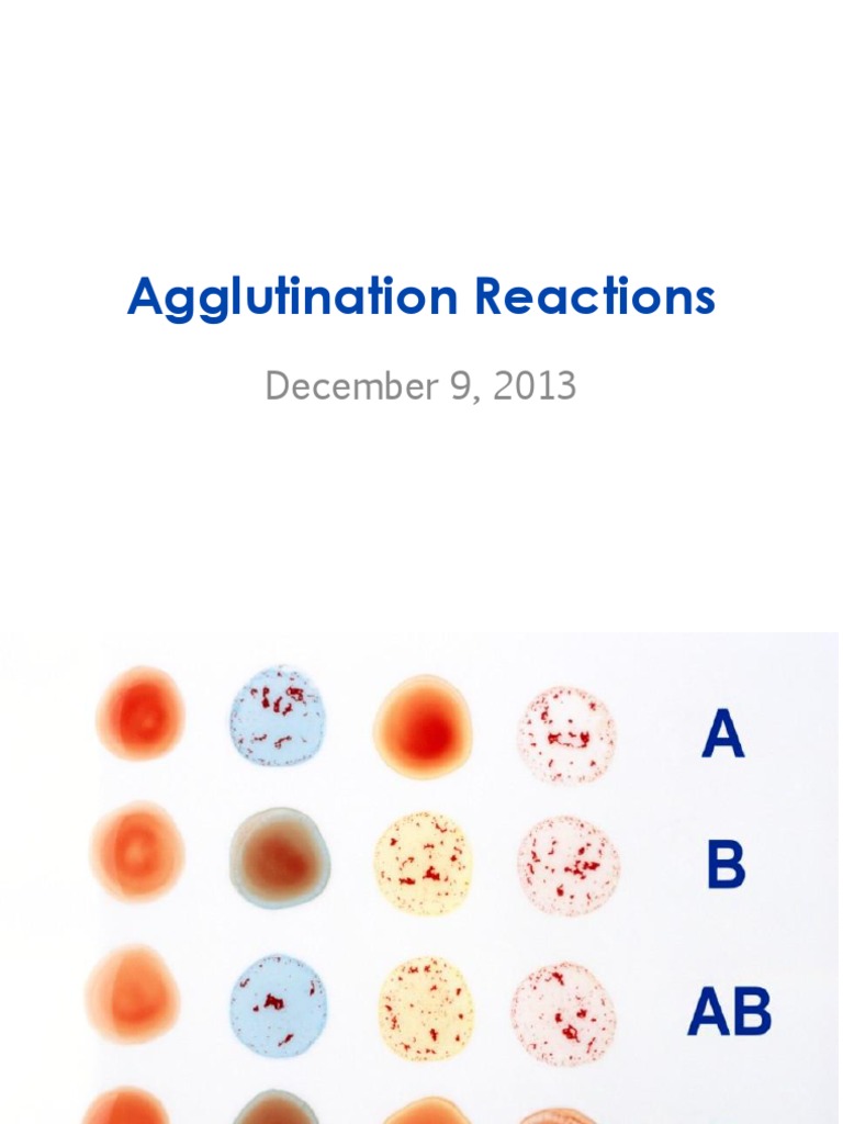 Agglutination Reactions Antibody Red Blood Cell