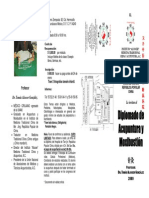 Triptico Diplomado 2009 Alcocer