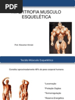 Aula Hipertrofia Muscular