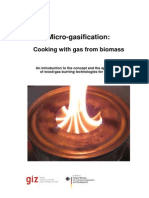 81595888 Micro Gasification Cooking With Gas From Biomass
