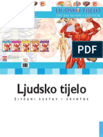 Ljudsko tijelo - Zivcani sustav i krvotok.pdf