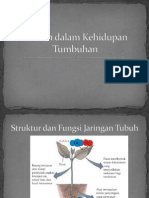 Sistem Dalam Kehidupan Tumbuhan