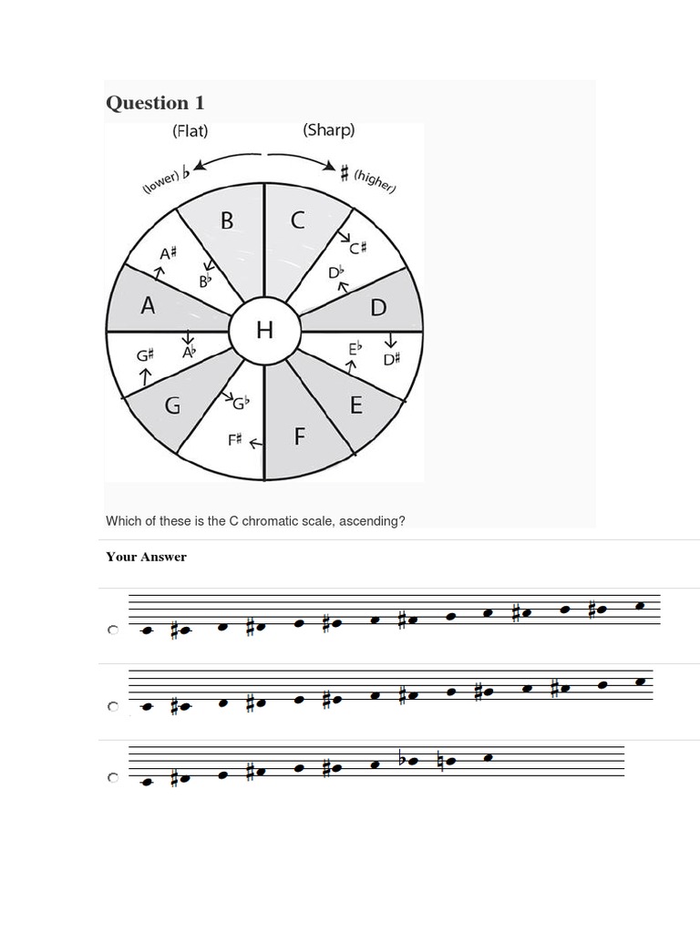 Quiz The Chromatic Scale | PDF | Language Arts & Discipline