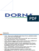Presentation Dorna 