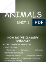 Animals: Unit 1