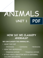 Classifying Animals Guide