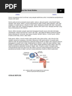 Download Terjadinya Gerak Biasa Dan Gerak Refleks by Abcharina Rachmatina SN199027785 doc pdf