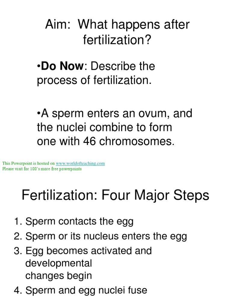 Early Human Development Steps | PDF | Wellness