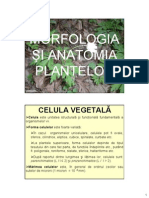 Morfologia-Şi-Anatomia-Plantelor