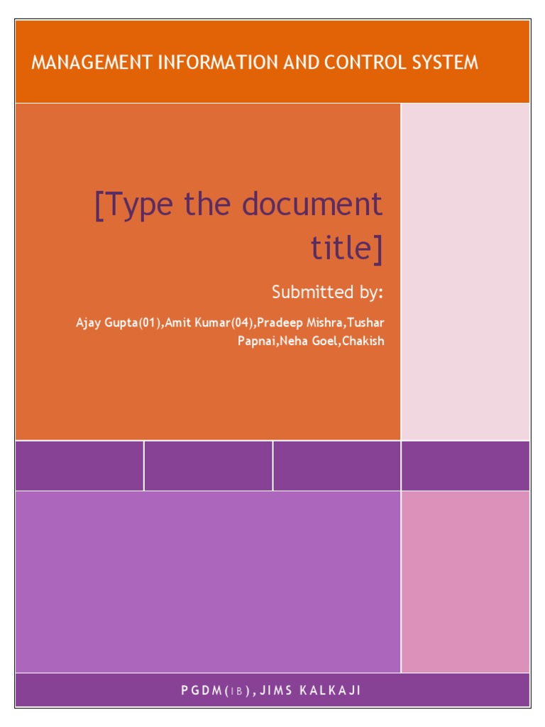 (Type The Document Title) : Management Information AND Control System | PDF