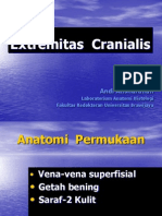 Extremitas Cranialis I (Regio Humeri Et Axilla)