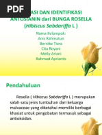 Download Isolasi Dan Identifikasi Antosianin Dari Bunga Rosella  by Rahmad Aprianto SN199065472 doc pdf