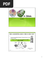 A Célula
