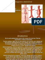 Estudios Especiales Aortograma Abdominal